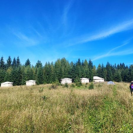 Eco Glamping - Carpathians. Retreat Hub Dzin Space Verchovyna Exteriör bild
