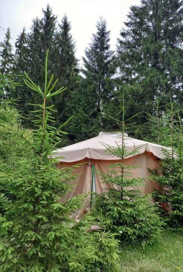 Eco Glamping - Carpathians. Retreat Hub Dzin Space Verchovyna Exteriör bild