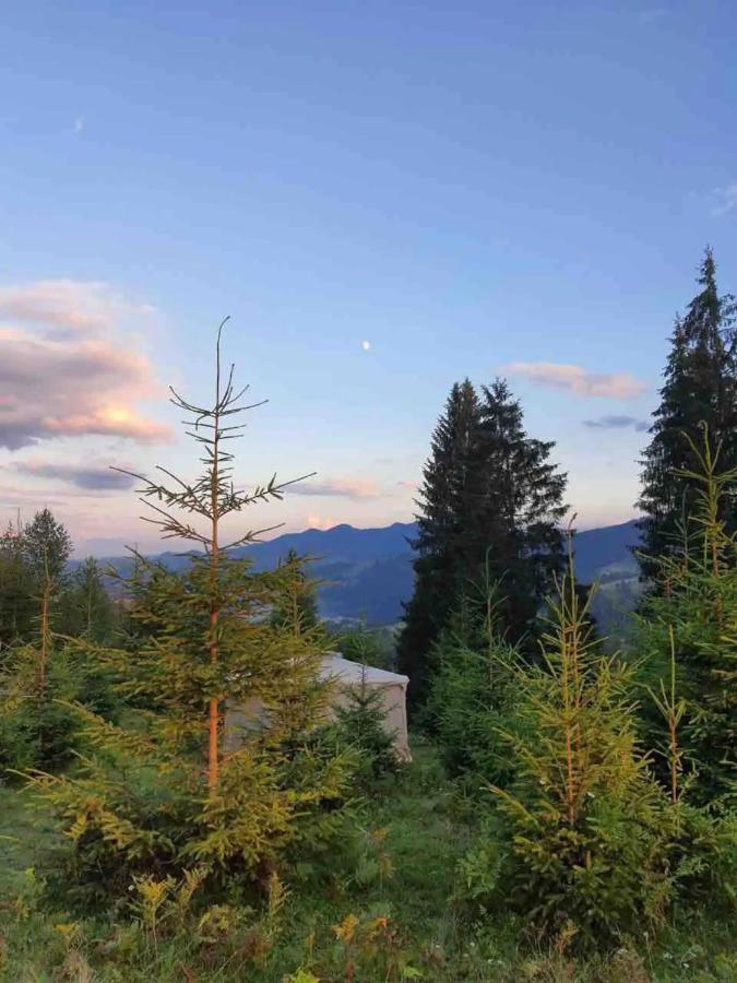 Eco Glamping - Carpathians. Retreat Hub Dzin Space Verchovyna Exteriör bild
