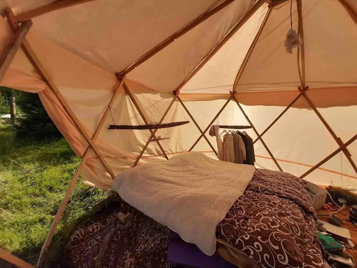 Eco Glamping - Carpathians. Retreat Hub Dzin Space Verchovyna Exteriör bild