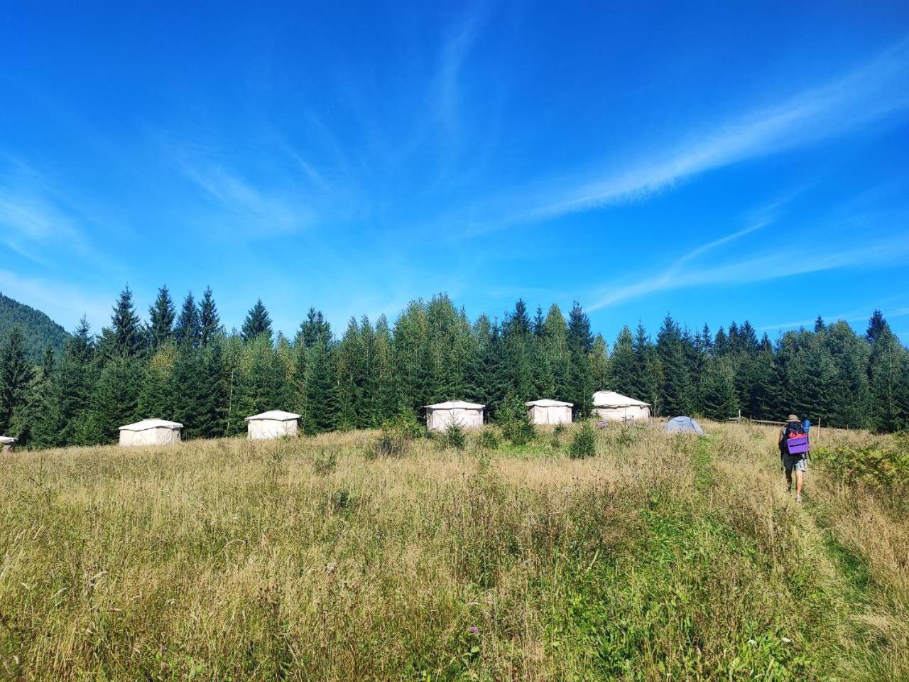 Eco Glamping - Carpathians. Retreat Hub Dzin Space Verchovyna Exteriör bild